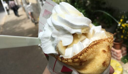 大宮駅からリスの家（見沼グリーンセンター）までの散歩レポート！レトロ喫茶のクレープが最強に美味しかった件