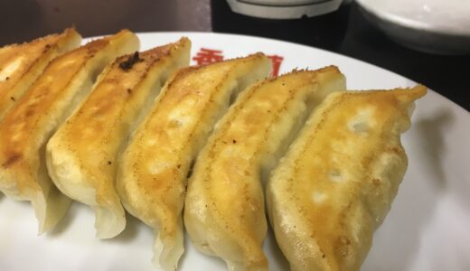 栃木遠征レポート｜宇都宮の地元民が愛する餃子店を教えてもらったのと日光の喫茶店がサイコーすぎた件